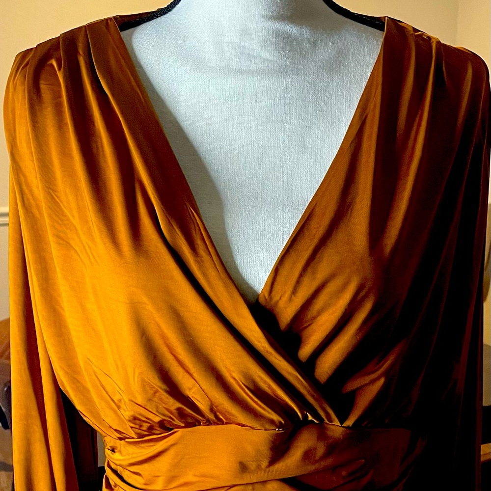 Beautiful Rayon blouse by Express.